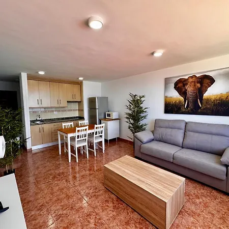 Apartman And Salt Live Europa