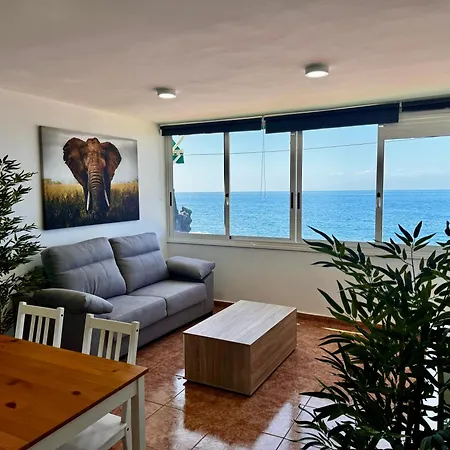 And Salt Live Europa *